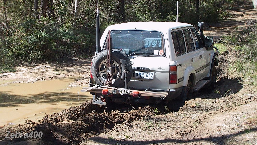 18-Zebra gets bogged in Kangaroo Valley.JPG